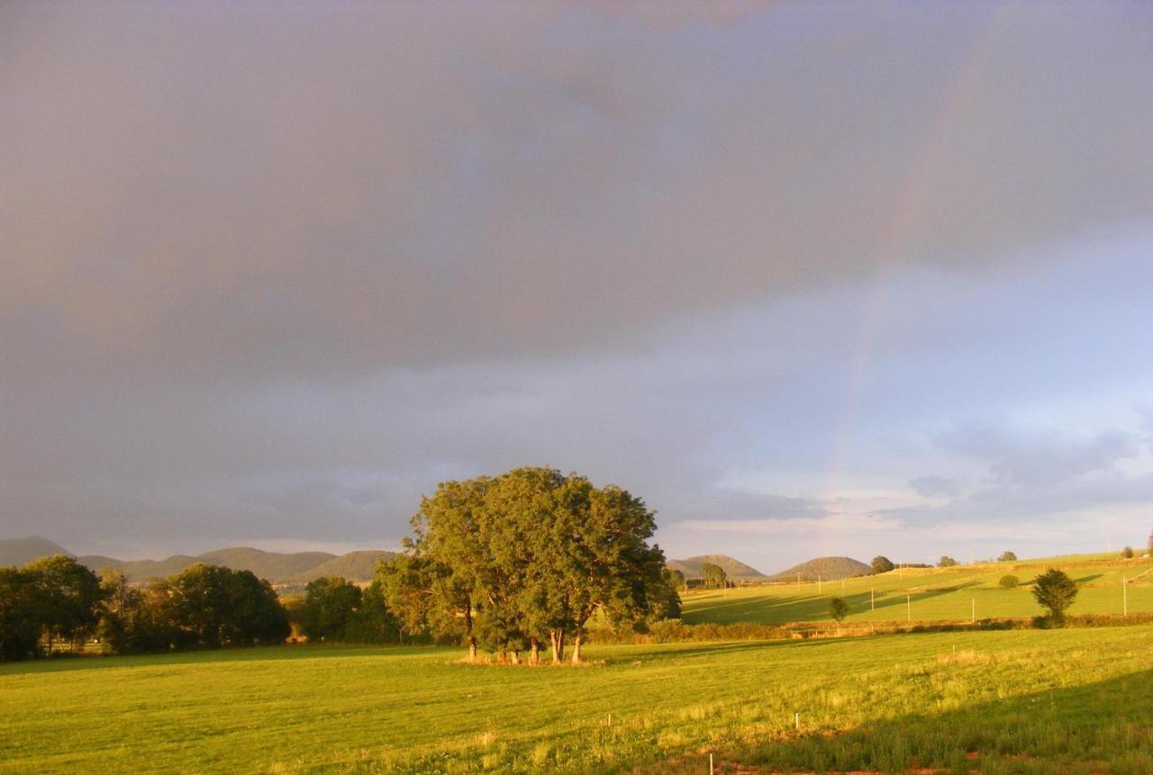 Logis Las Crozas La Poupe Vernines Exteriér fotografie